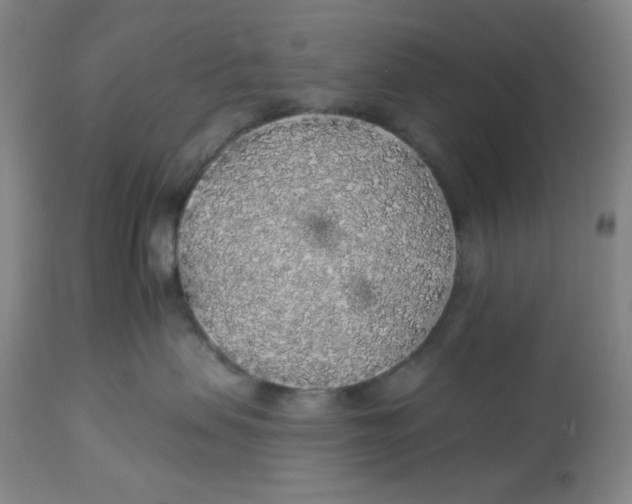 X0000113960479200910232033