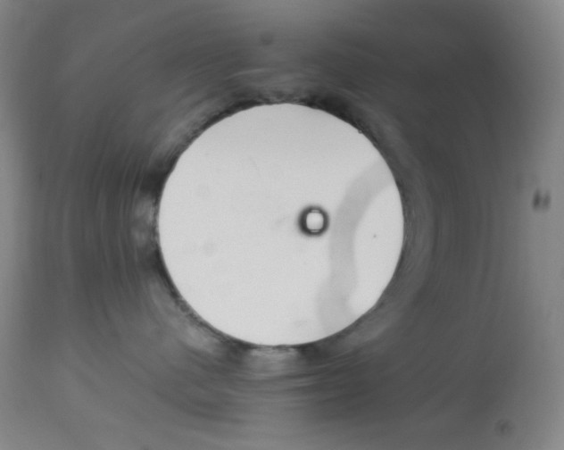 X0000113960480200910232033