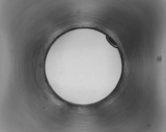X0000113960481200910232032
