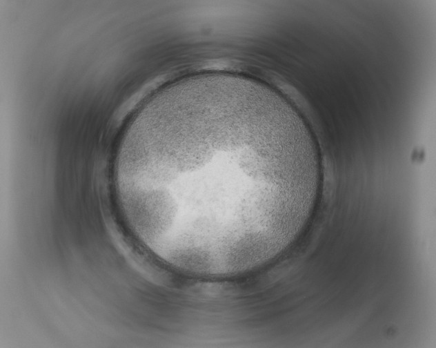 X0000113960482200910232032