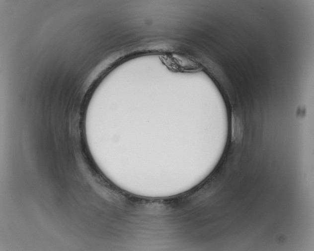 X0000113960483200910232032