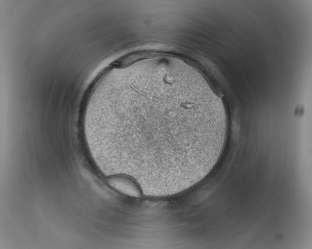 X0000113960484200910232032