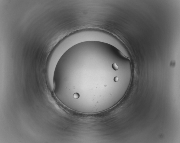 X0000113960485200910232032
