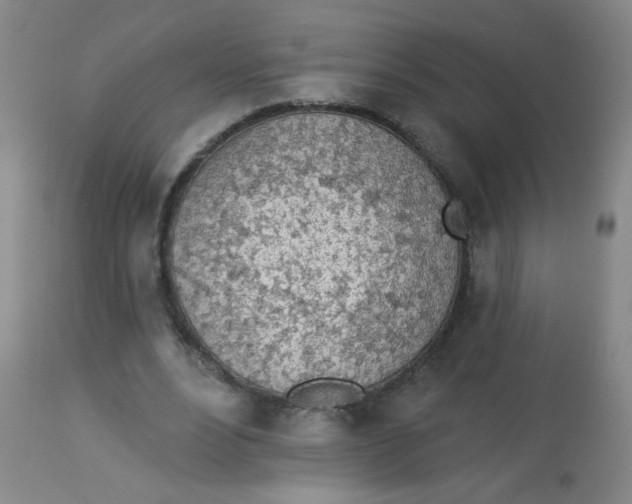 X0000113960488200910232032