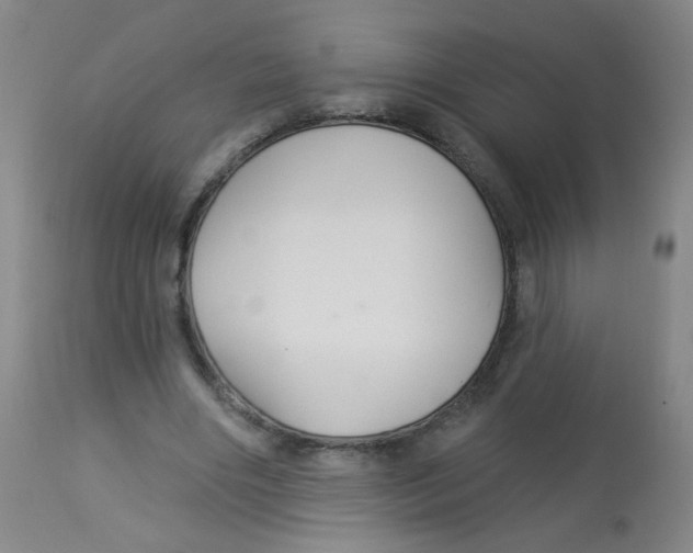 X0000113960490200910232032