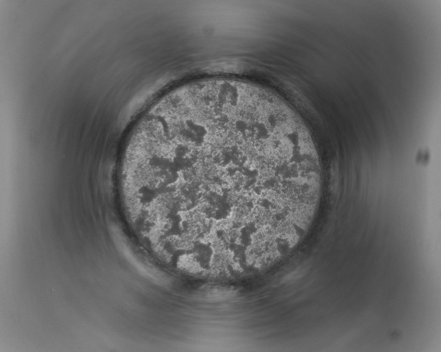 X0000113960491200910232032
