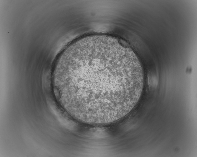 X0000113960492200910232032