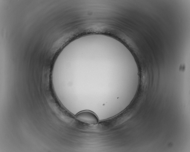 X0000113960493200910232032