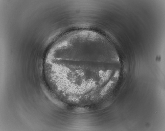 X0000113960494200910232032