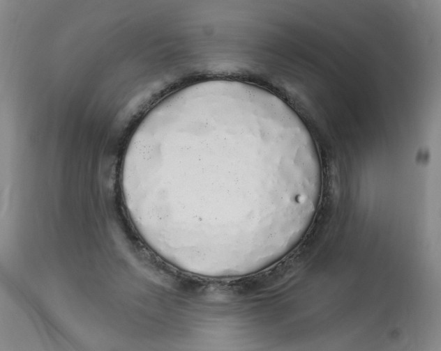 X0000113960495200910232031