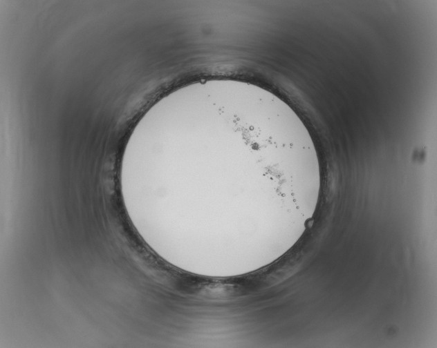 X0000113960497200910232031