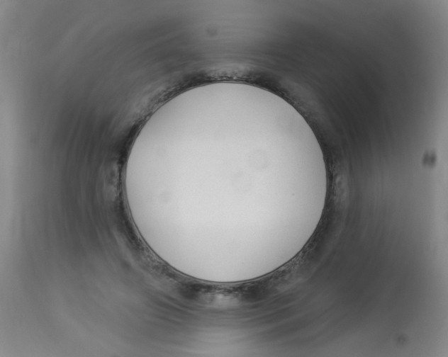 X0000113960498200910232031