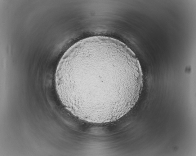 X0000113960499200910232031