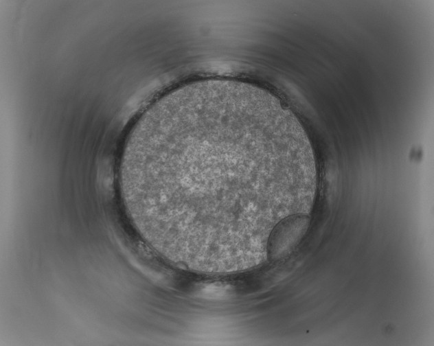 X0000113960500200910232031