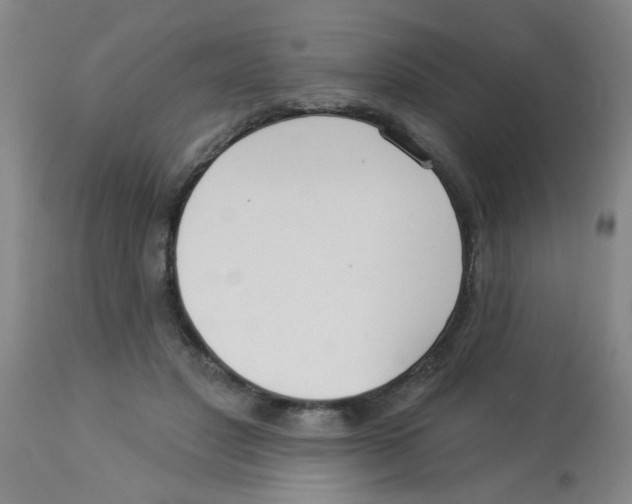 X0000113960501200910232031