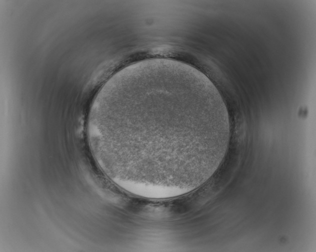 X0000113960502200910232031