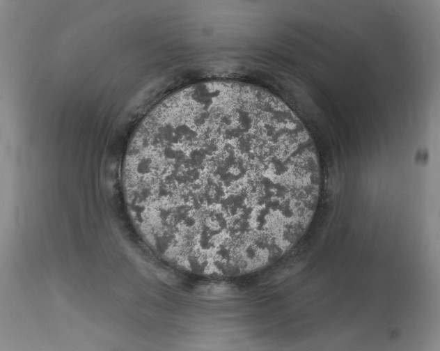 X0000113960503200910232031