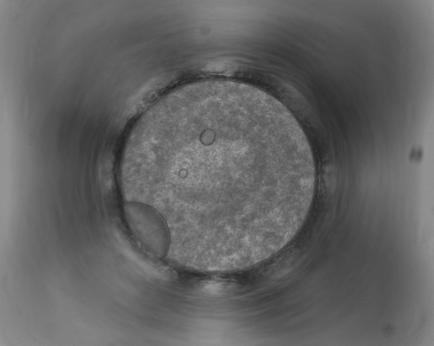 X0000113960504200910232031