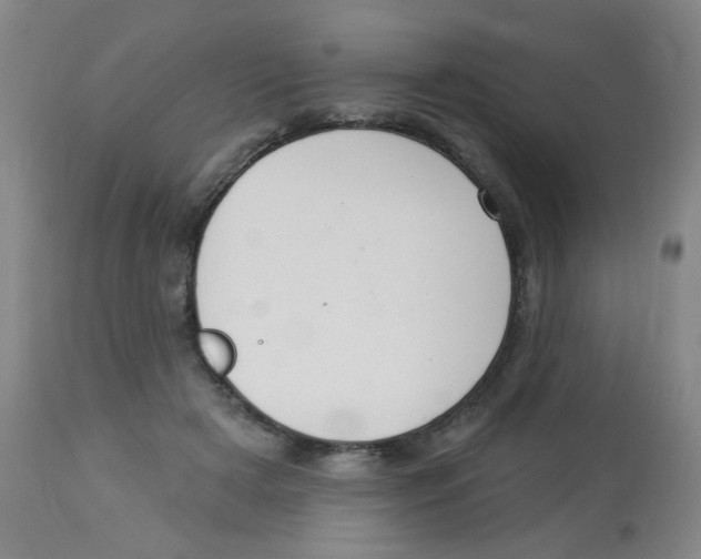 X0000113960505200910232031