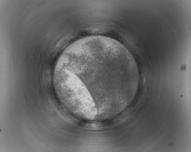 X0000113960506200910232031