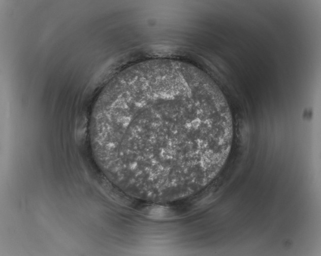 X0000113960507200910232031