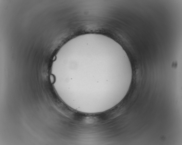 X0000113960508200910232031