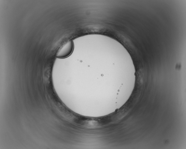 X0000113960509200910232031