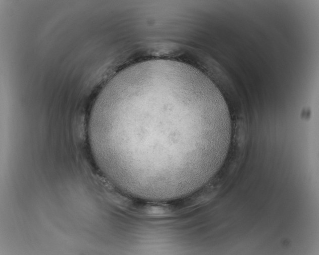 X0000113960510200910232031