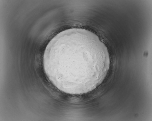 X0000113960511200910232031