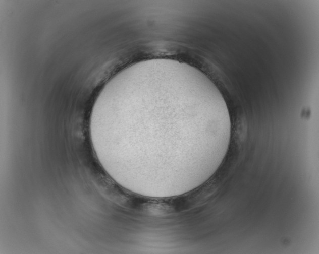 X0000113960512200910232031