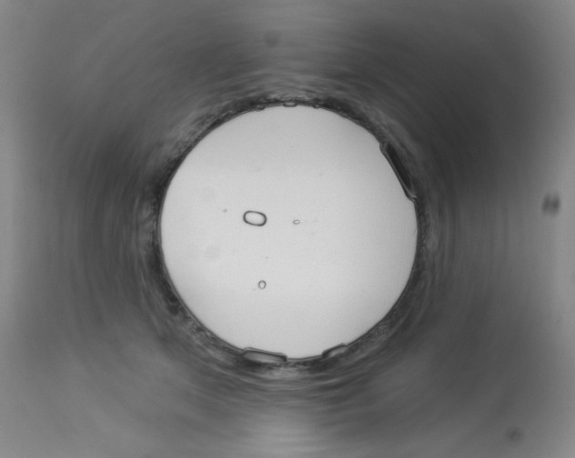 X0000113960513200910232031