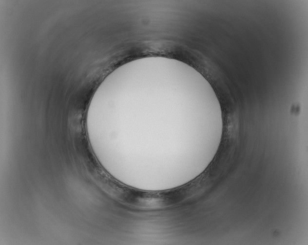 X0000113960514200910232031