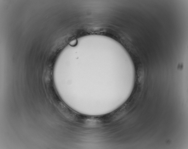 X0000113960515200910232031
