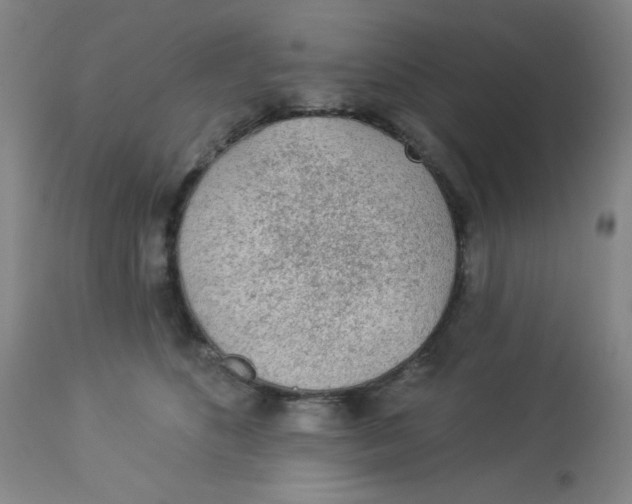 X0000113960516200910232031