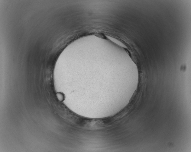 X0000113960517200910232031