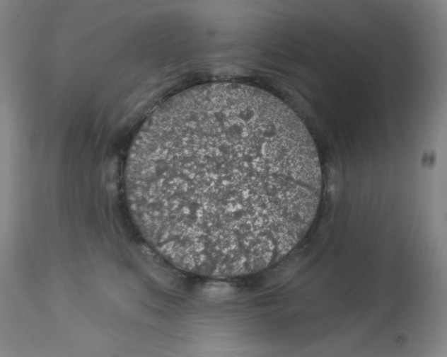 X0000113960519200910232031