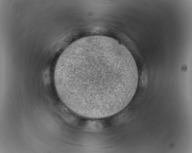 X0000113960520200910232031