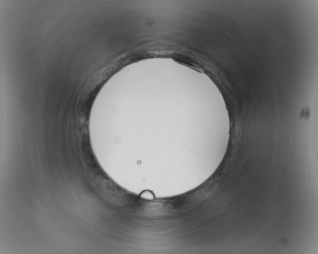 X0000113960521200910232031