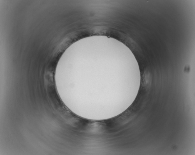 X0000113960522200910232031