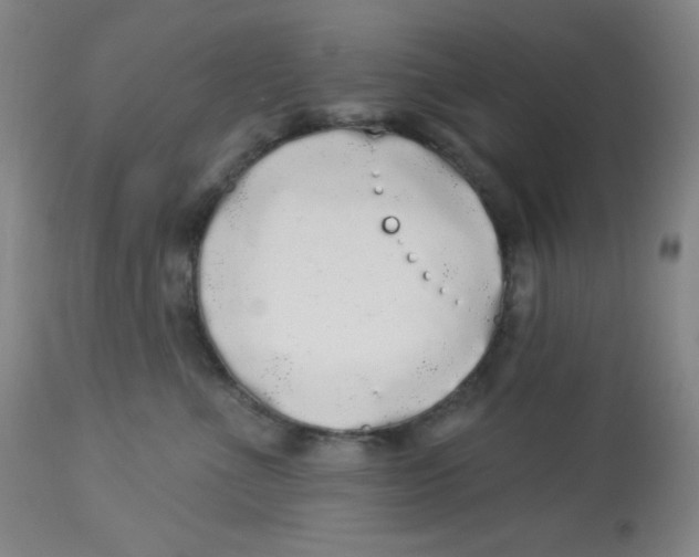 X0000113960523200910232031