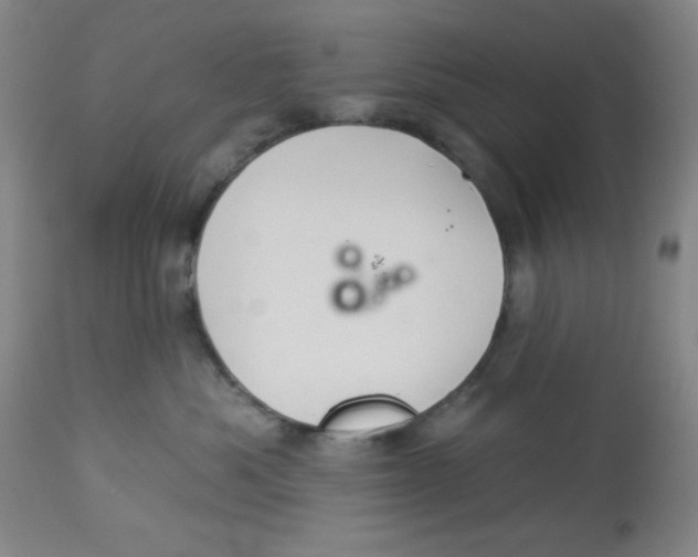 X0000113960525200910232031