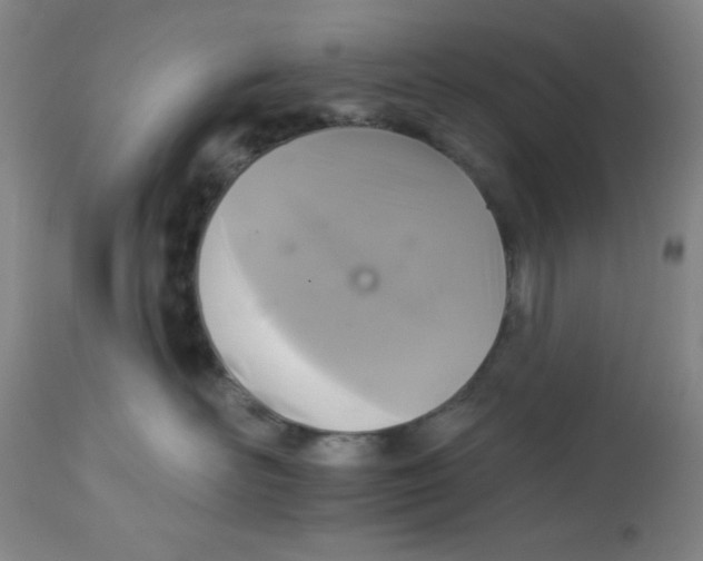 X0000113960526200910232031