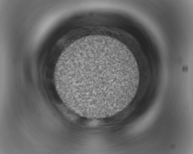 X0000113960527200910232031