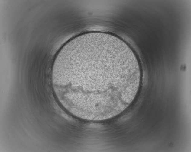 X0000113960529200910232030