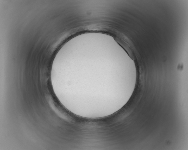 X0000113960530200910232030