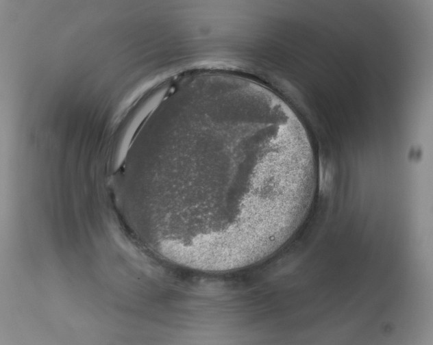 X0000113960531200910232030