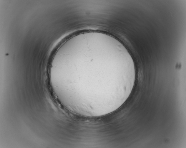 X0000113960532200910232030