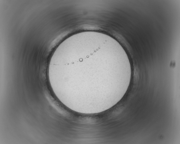 X0000113960533200910232030