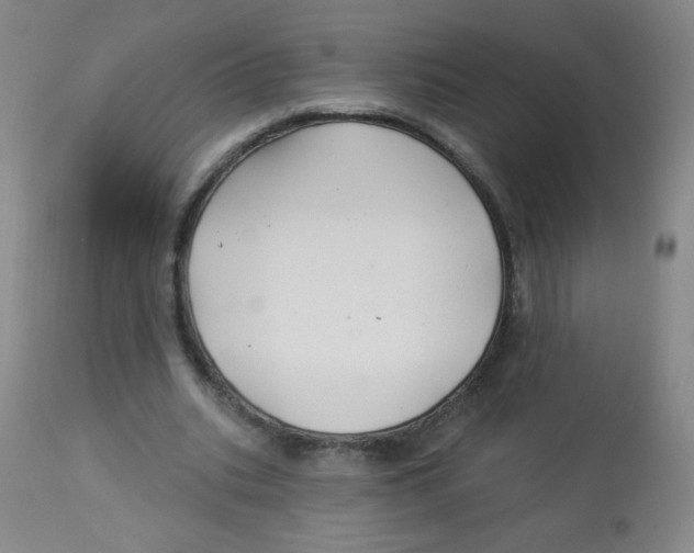 X0000113960535200910232030