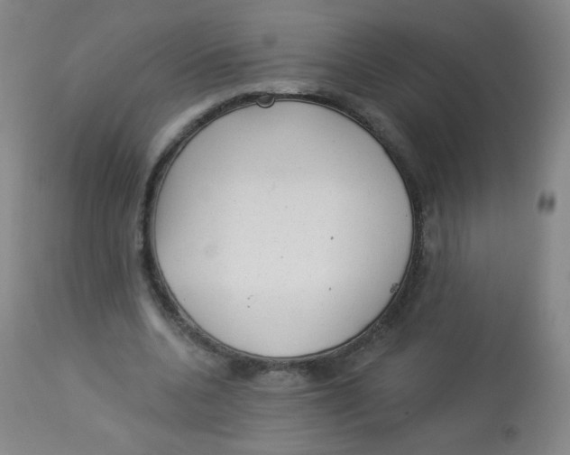 X0000113960536200910232030